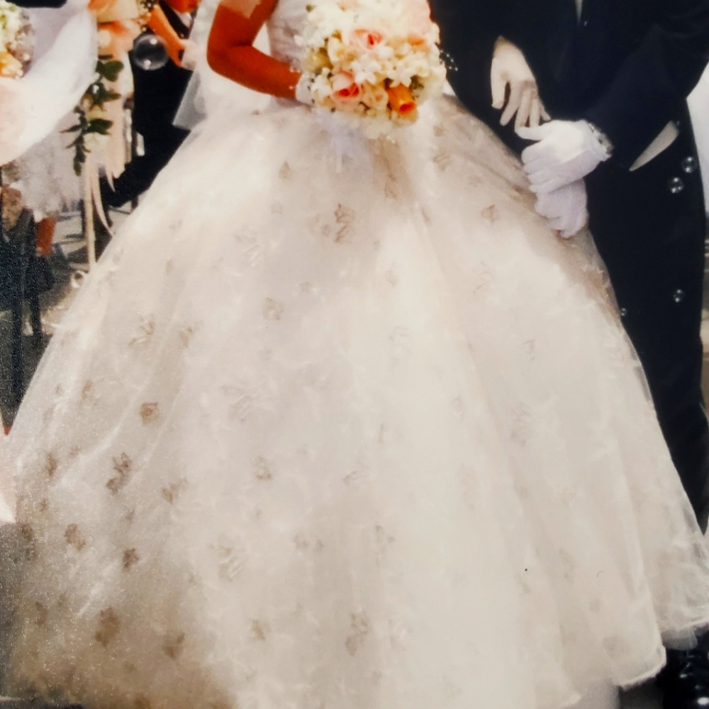The Princess diaries Wedding dress